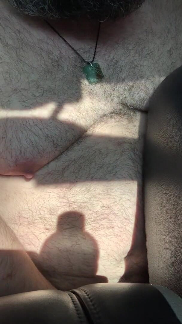 Florida Bear: Aaien en klaarkomen in mijn suv