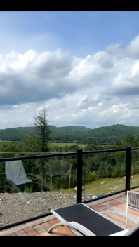 Lustrzana dome w lesie