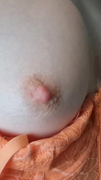 Dua Dildo Untuk Satu Awek Miang