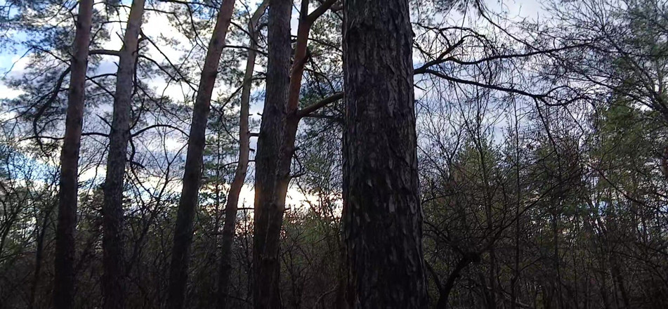 Lesbian-illusion: Risky Female Peeing and Masturbation in the Forest