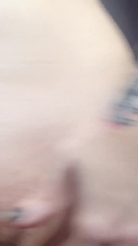 Harley Quinn seduz asa noturna