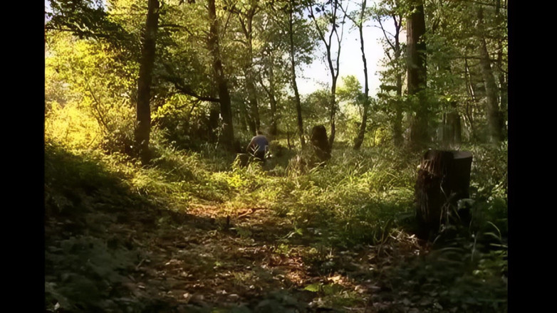 Bizzarre World: Flaque D’eau Sale Et Chaude