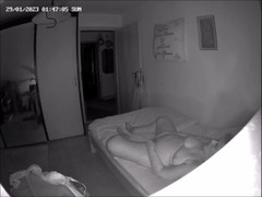 Heisseoma: Dohledová kamera 3