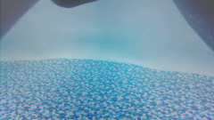 SimoneLive1: हमारे साथ पूल में आओ