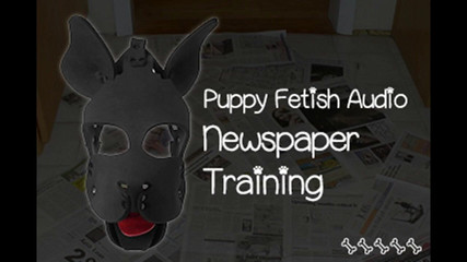 Campsissyboi: Puppy Fetish Newspaper Training