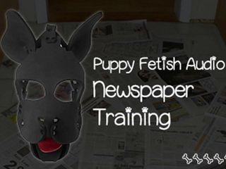 Camp Sissy Boi: Antrenament cu fetiș de cățeluș la ziar