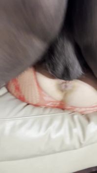 BBC Fucks Me Good
