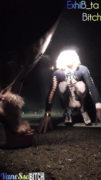 Ormanda Sunulan 2 Transvestit. Bir Otoparkta Güzel Penisleri Bekliyordum. Gece Gösterisi