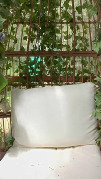 Bts Greenhouse Play