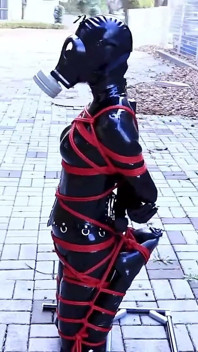 A Puppy Bound with Latex, Walking the Dog