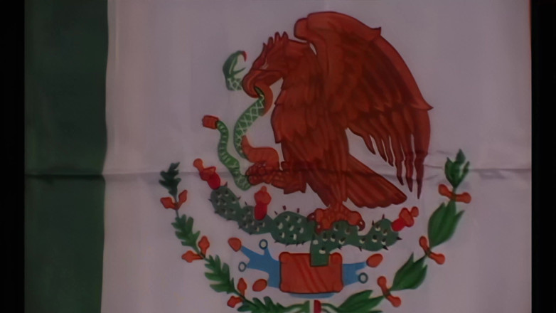 Chica Suicida DVD: L'arrapante bruna messicana luscious si è fatta scopare il suo grosso...