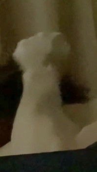 그는 그것을 깊이 원했다. 나는 그를 더 깊게 데려갔어