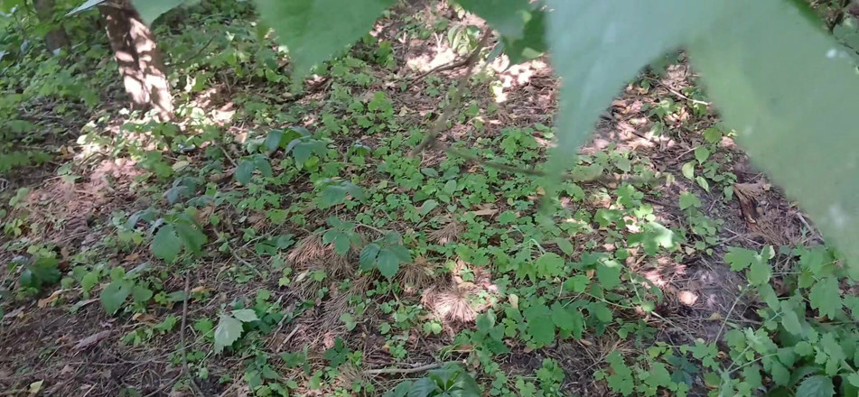 Lesbian-illusion: My Girlfriend and I Are Taking a Risk by Masturbating 