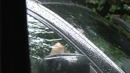 Popp Sylvie: Popp Sylvie outdoor fuck date