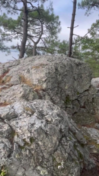 Suge pula unui străin în pădure și i-a înghițit sperma