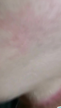 太疯狂了！