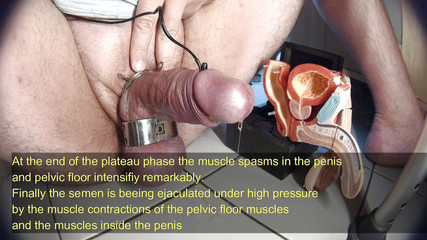 Gaylectrician: výukový program sexuální odpovědi pro muže