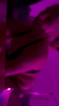 BootySuzi: グリーディ・ブーティスージ