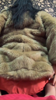 Do You Want to Play with This Fur-coat?