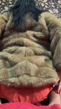 Do You Want to Play with This Fur-coat?