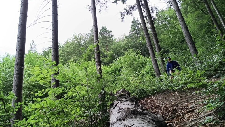 kickerscooter: Kembali di tempat kejadian – fap hutan kasar dengan besar-besaran