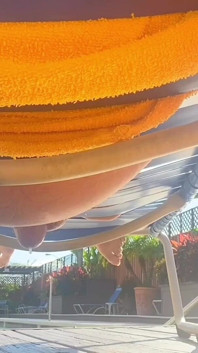 Großer mannlicher bär kommt in der ganzen stadt, schießt sein sperma überall, wo er kann