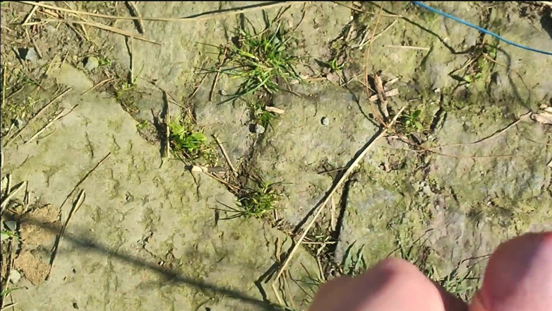 Sara B: Quay tay và đi tiểu trong vườn (POV)