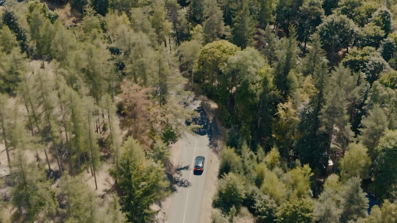 Antonio Saint: Dias de Treinamento dos Santos Antonio - Alexis Liberado - Capítulo 4