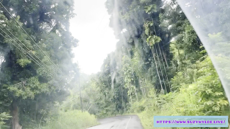 Suzy Wylde: Sfw Road Trip to Hana for Suzy Wylde in Waimoku...