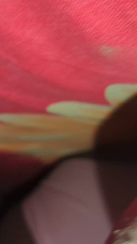 Deshi King Fuking My Dear Friend Sex Video