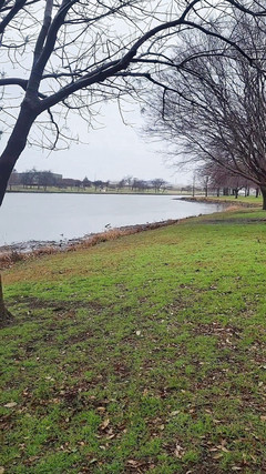 UrethralSound: 2 vibrator uretra di bak mandi hotel Dallas dengan mani...