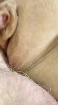 Aimee hot milf adalah perempuan jalang dewasa terbaik di web.!