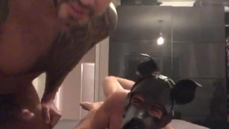 The fuckers raw studio: Puppy Slut Fucked Raw at the Hotel