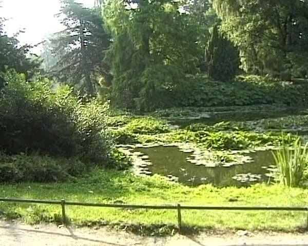 Busty German Sluts: Dieser freche deutsche teenager genießt anale penetration im park