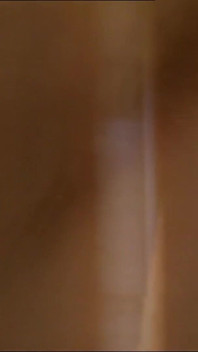 The Wildest Fucking and Pussy Pleasuring You’ve Ever Seen
