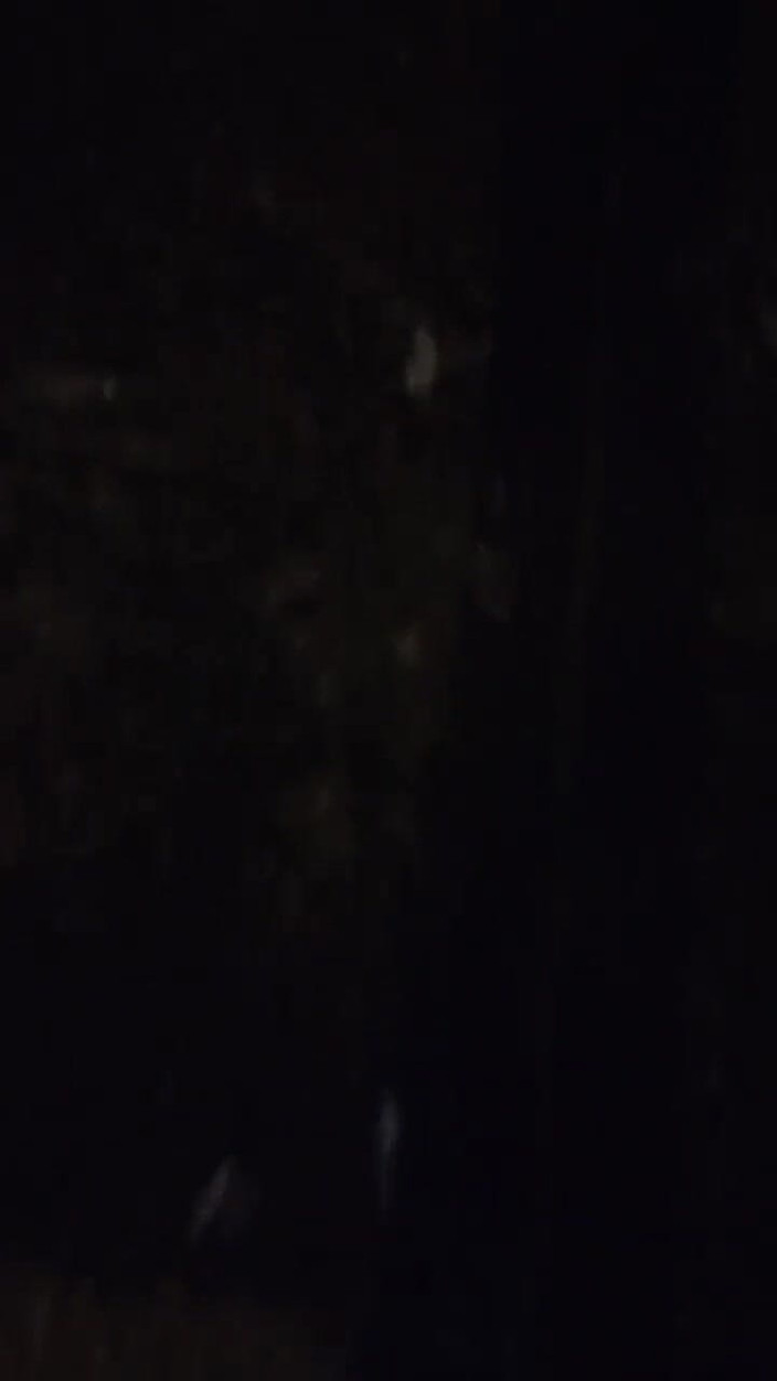 Vida Noite: 户外性爱，所有性爱，现在允许在我的公寓里