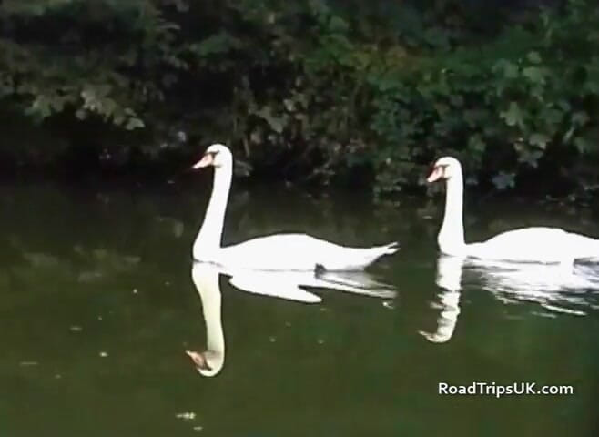 Road Trips UK: Roadtrip to Kent: Beck &amp; Louise