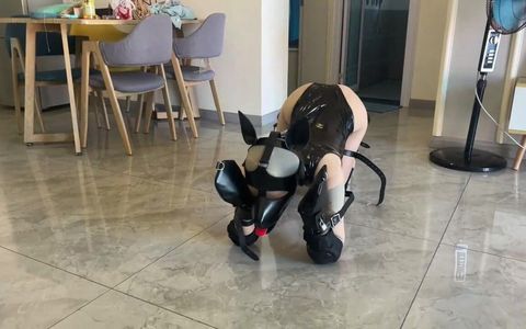 Training and Insulting My Sexy Girlfriend 10