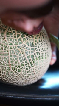 Fuck Melon in Hotel.
