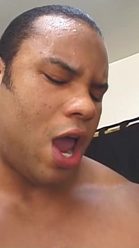 Gata fode pau grande