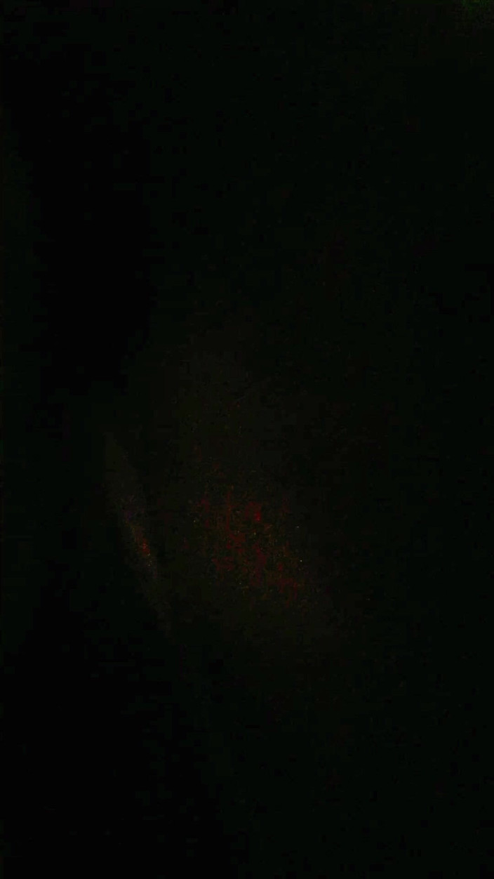 Boyfriend: Prosím, udržujte to v tajnosti