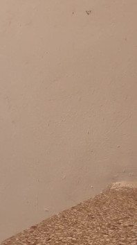 Paloma Veiga操蔬菜