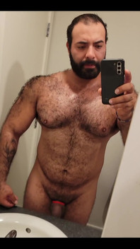 Muscular Bear