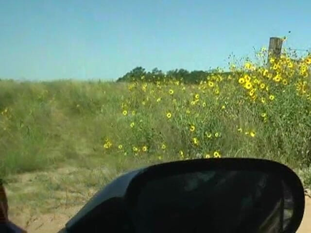 Vicky Vette: Roadtrip From La to Atlanta Pt. 2