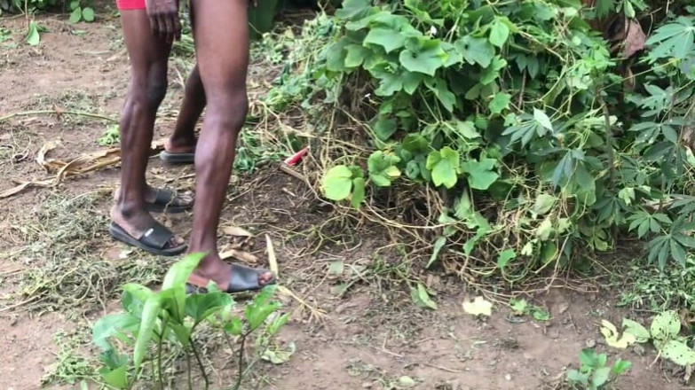 Sexydaddy: Sexo ao ar livre na fazenda