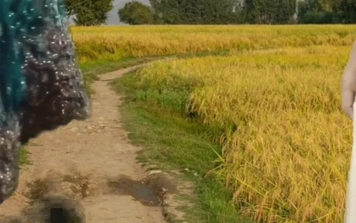 Zoya Khan: Pakistani Couple Outdoor Sex in Village Fields S1 Episode 4