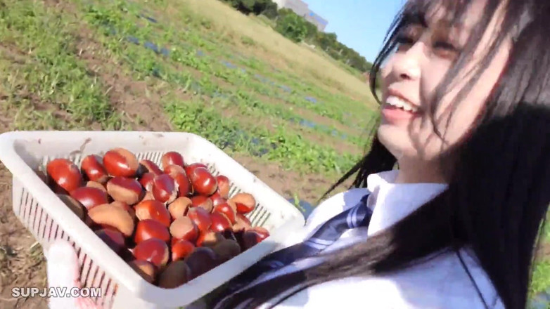 Studio Modern Shunga - JAV: 아시아 천사 - 16196