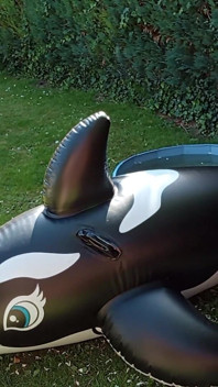 Outdoor with My Dolphin