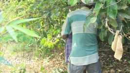 ラッキーファーマーは彼の農場でこの2つの性交を捕まえ、補償のために黒人の女の子も性交することに決めました