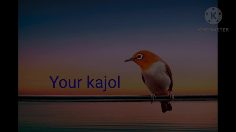 Lustykajolbhabhi: Pasangan romantis desi